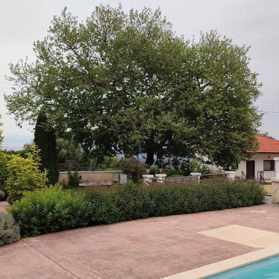 Guesthouse Michobeis Kamarína 외부 사진